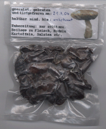 Steinp50gRkl
